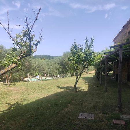Borgo Villa A Tolli Castelnuovo dell'Abate Екстер'єр фото