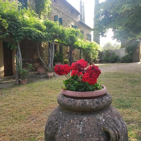 Borgo Villa A Tolli Castelnuovo dell'Abate Екстер'єр фото