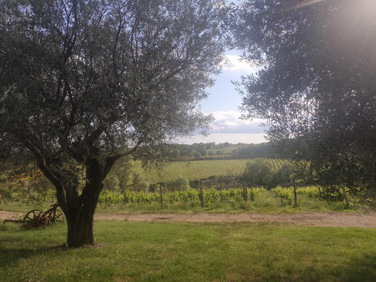 Borgo Villa A Tolli Castelnuovo dell'Abate Екстер'єр фото