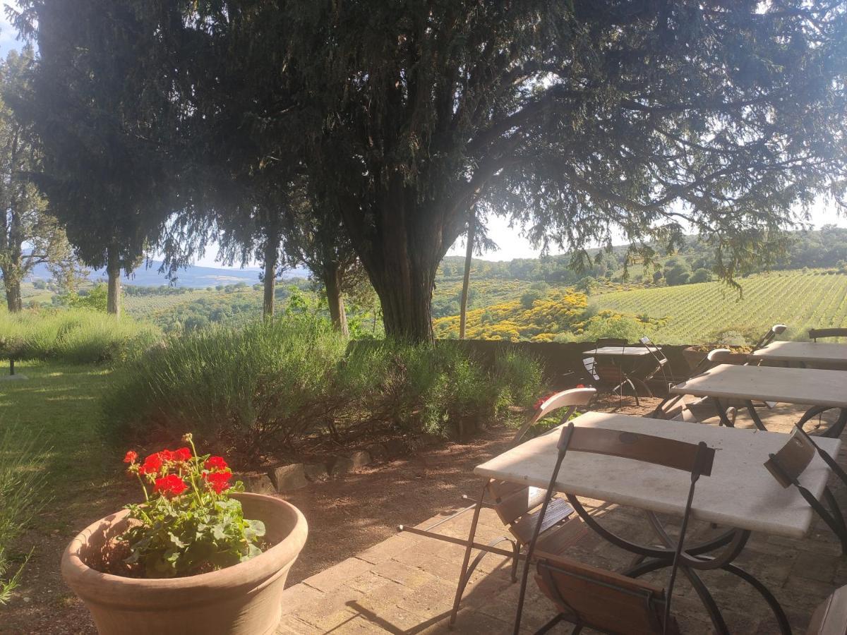 Borgo Villa A Tolli Castelnuovo dell'Abate Екстер'єр фото