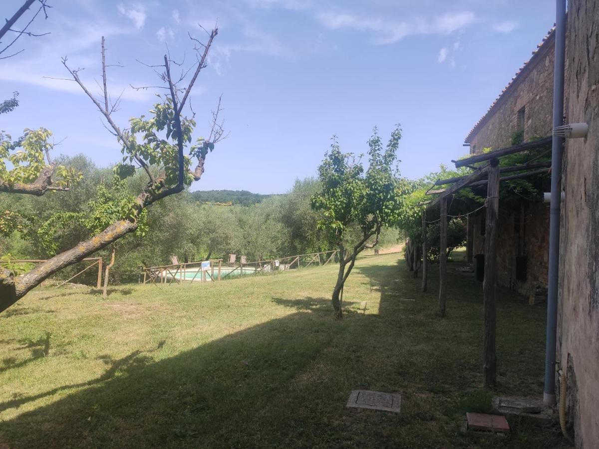 Borgo Villa A Tolli Castelnuovo dell'Abate Екстер'єр фото