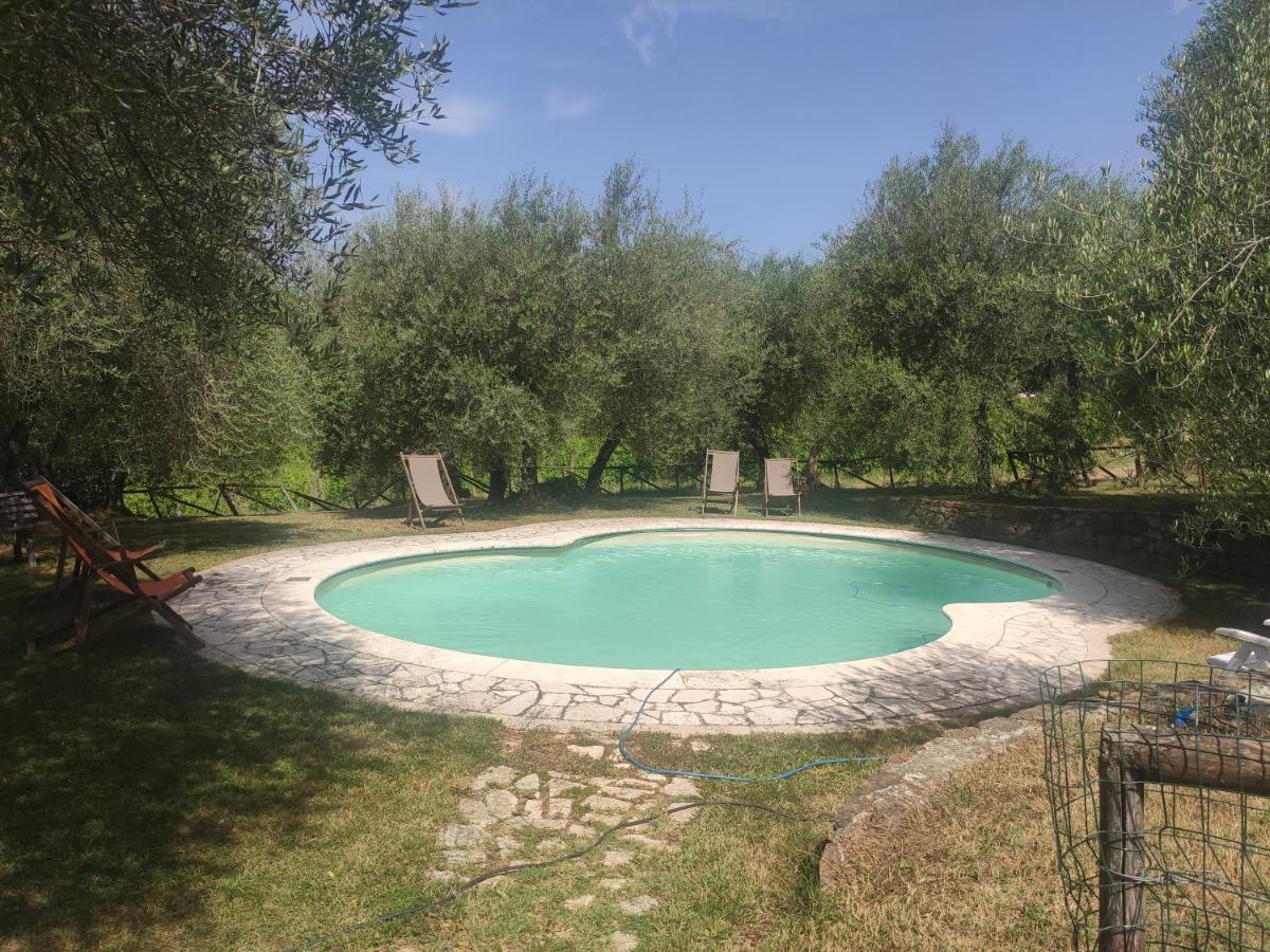 Borgo Villa A Tolli Castelnuovo dell'Abate Екстер'єр фото