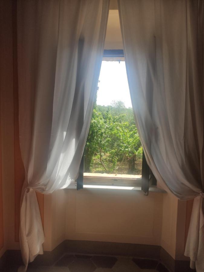 Borgo Villa A Tolli Castelnuovo dell'Abate Екстер'єр фото