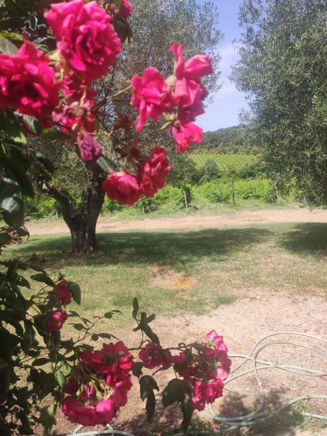 Borgo Villa A Tolli Castelnuovo dell'Abate Екстер'єр фото