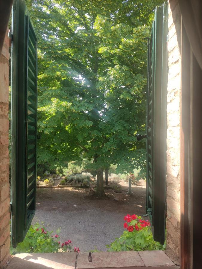 Borgo Villa A Tolli Castelnuovo dell'Abate Екстер'єр фото