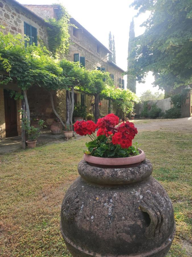 Borgo Villa A Tolli Castelnuovo dell'Abate Екстер'єр фото
